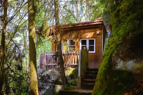 Kokořínský důl a okolní lesy